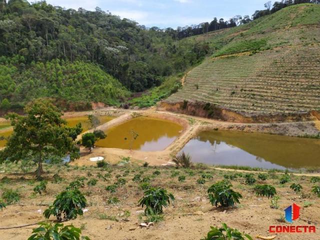Terreno para Venda em Santa Maria de Jetibá, Centro - Foto 13