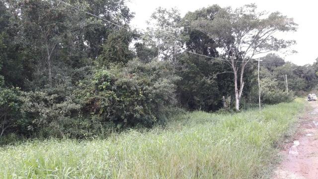 Terreno à venda, 624 m² por R$ 65.000,00 - Praia do Imperador - Itapoá/SC - Foto 4