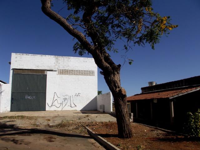 Galpão Venda Aparecida Industrial Br 153 Comercial Goiânia - Foto 4
