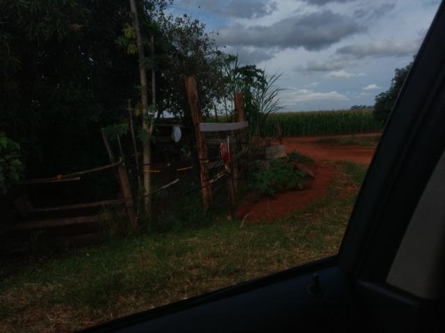 Alugo Fazenda p Arrendamento no Ms 1000 há - Foto 7