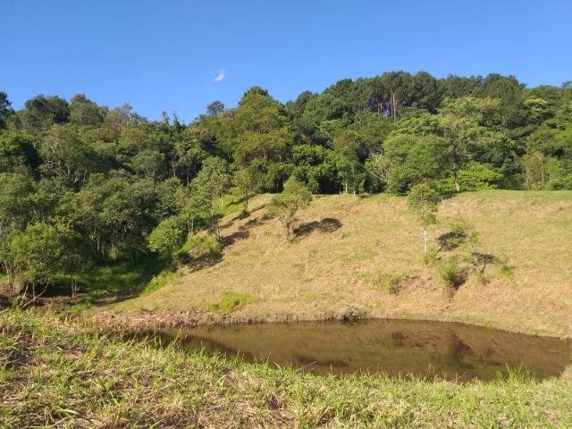 05- Paz em um lote de 1000mt² em área Rural - Foto 12