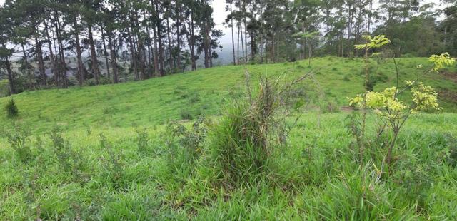 21-Terreno super barato em Arujá-SP - Foto 2