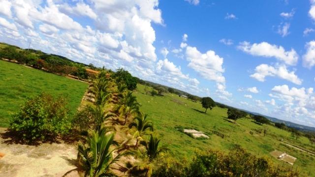 Fazenda em Ipameri (Soja e Pasto ; Beira Asfalto) - Foto 8