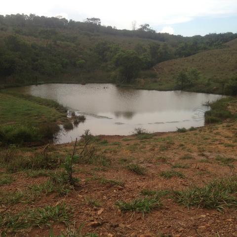 Fazenda caruru Valor R$ 1,400,000 - Foto 15