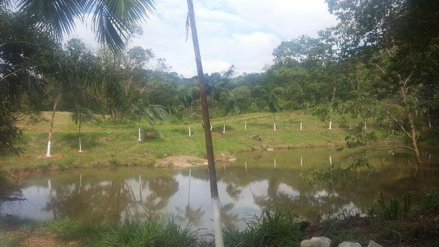 05- Alô Região ótimos preços em 1000mt² - Foto 17