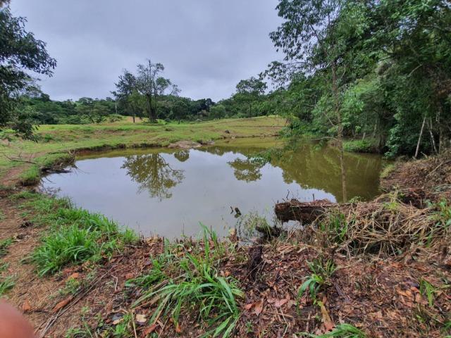 05- Paz em um lote de 1000mt² em área Rural - Foto 16