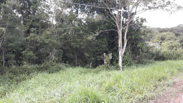 Terreno à venda, 624 m² por R$ 65.000,00 - Praia do Imperador - Itapoá/SC - Foto 8