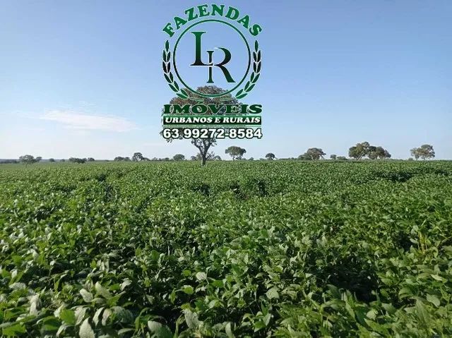 Fazenda 102 Alqueires Agricultura e Pecuária no Tocantis - Foto 5
