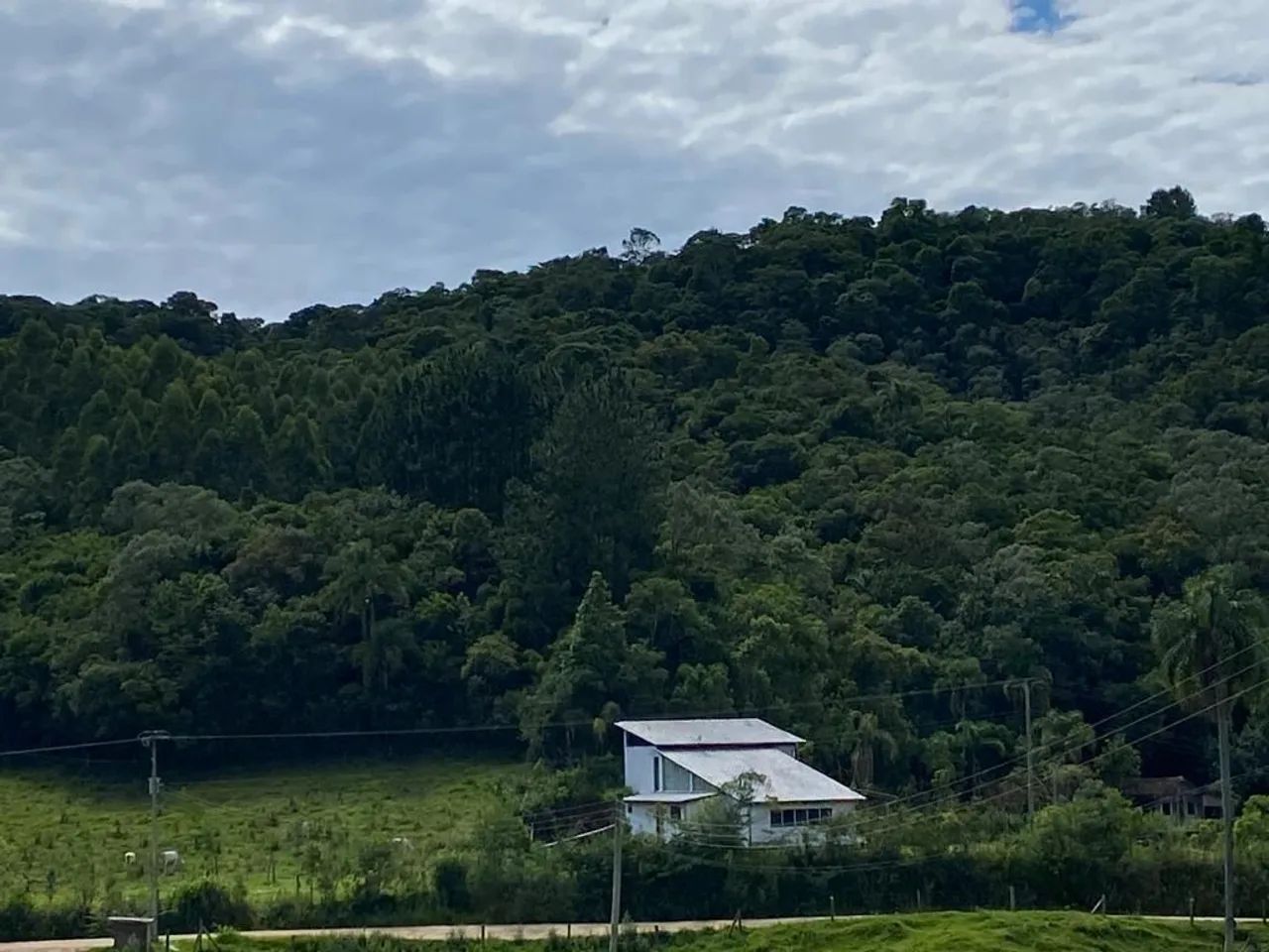 Sítio / Terreno à Venda em Anitápolis com 112.595,97m². - Foto 5