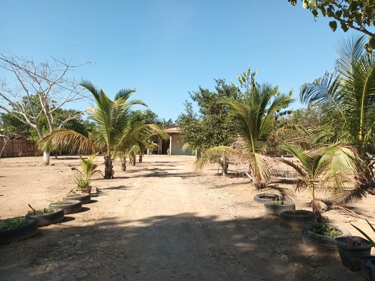 Chácara dentro da Cidade (CANDEIAS)