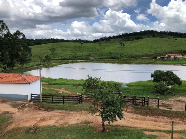 Fazenda 350 Hectares 