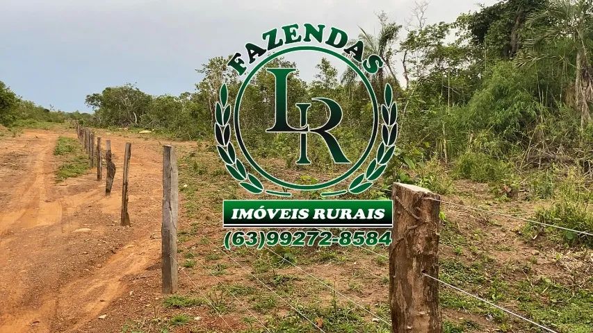 Fazenda 119 Alqueires Vale do Araguaia - Foto 2