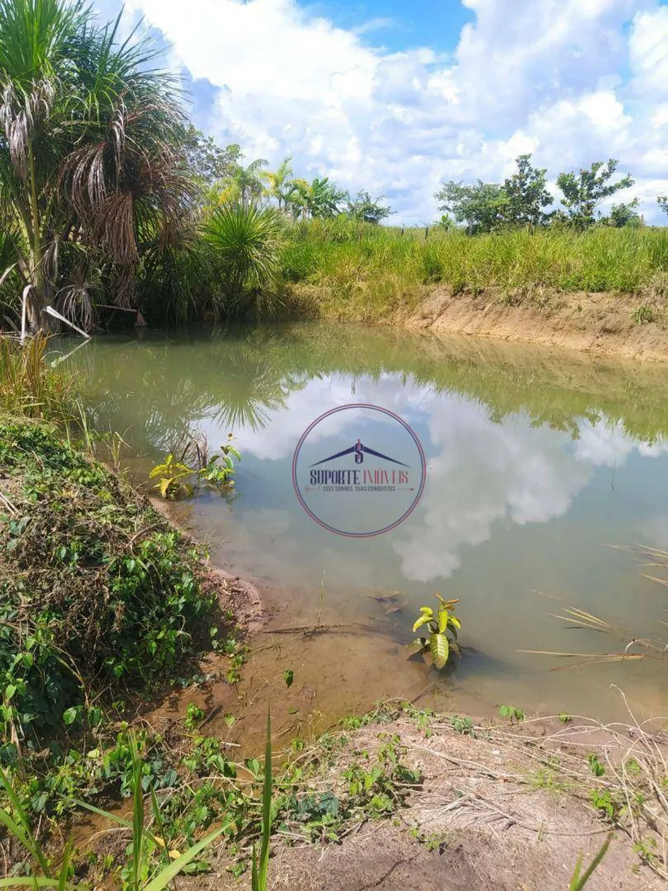 Vendo Chácara na BR-319 Sentido Humaitá, a 27 km de Porto Velho