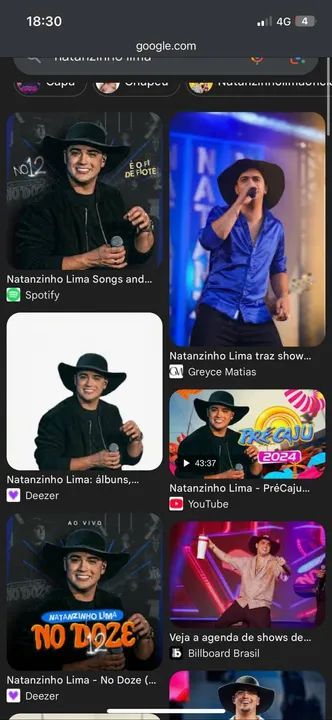 Chapéu Cata Ovo Natanzinho lima Caminhoneiro muladeiro countr Feltro Tradicional Aba Larga - Foto 5