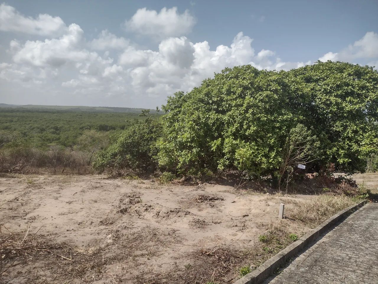 Terreno área plana A partir de 20Mil - Foto 2