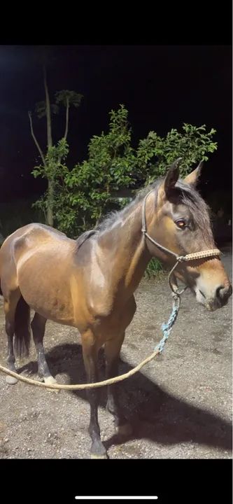 VENDO OU FAÇO BRICK  - Foto 3