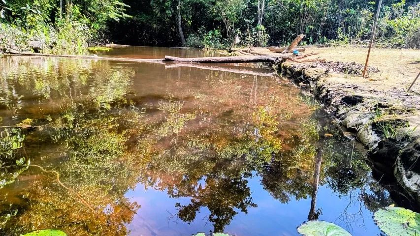 Atenção Investidores, Sitio com Igarapé, com 10 hectares, - próximo cachoeira castanh