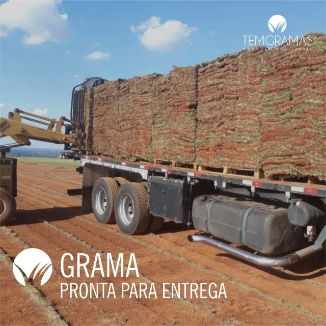 Grama Natural Direto da Roça