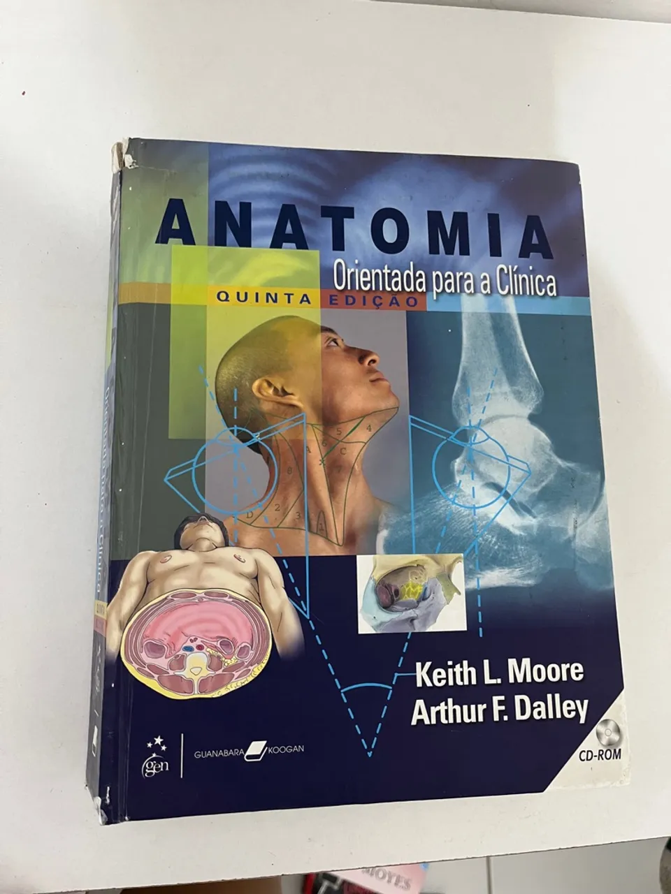 Mooee Livro Anatomia Orientada para a Clínica - 5ª Edição