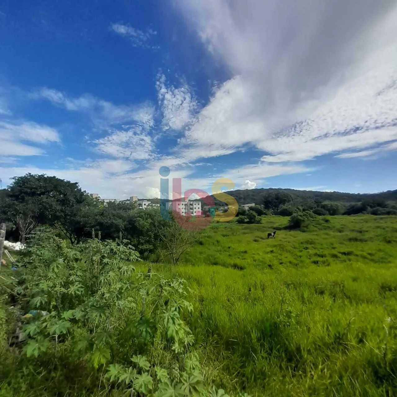 Vendo Terreno na Zona Norte - Foto 2