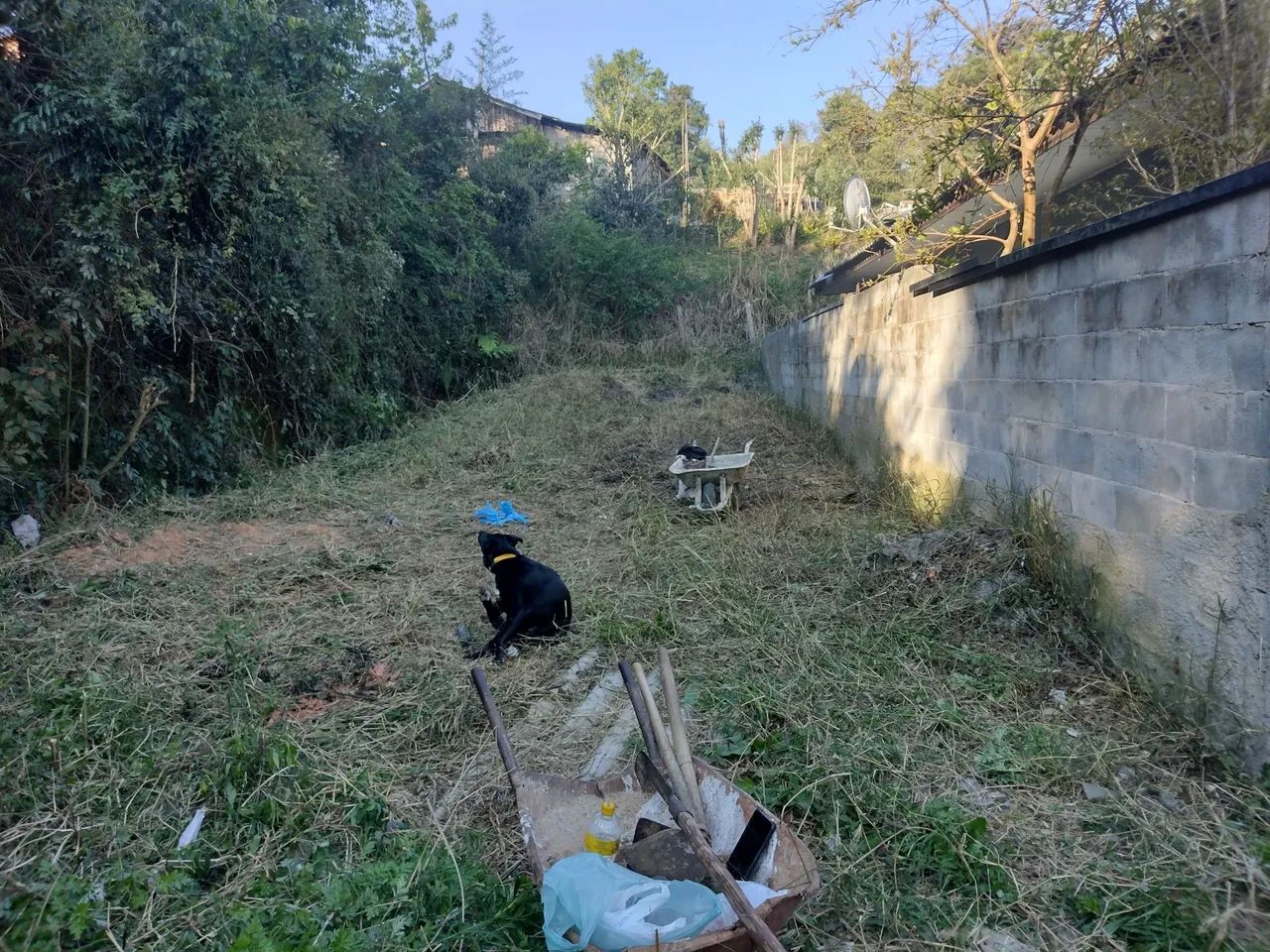 Foto - Curitiba - Abranches