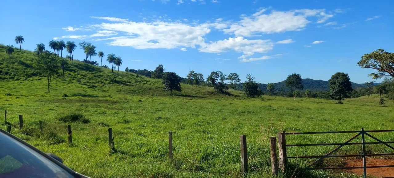 Fazenda entre Palmas to e Barrolândia to - Foto 5