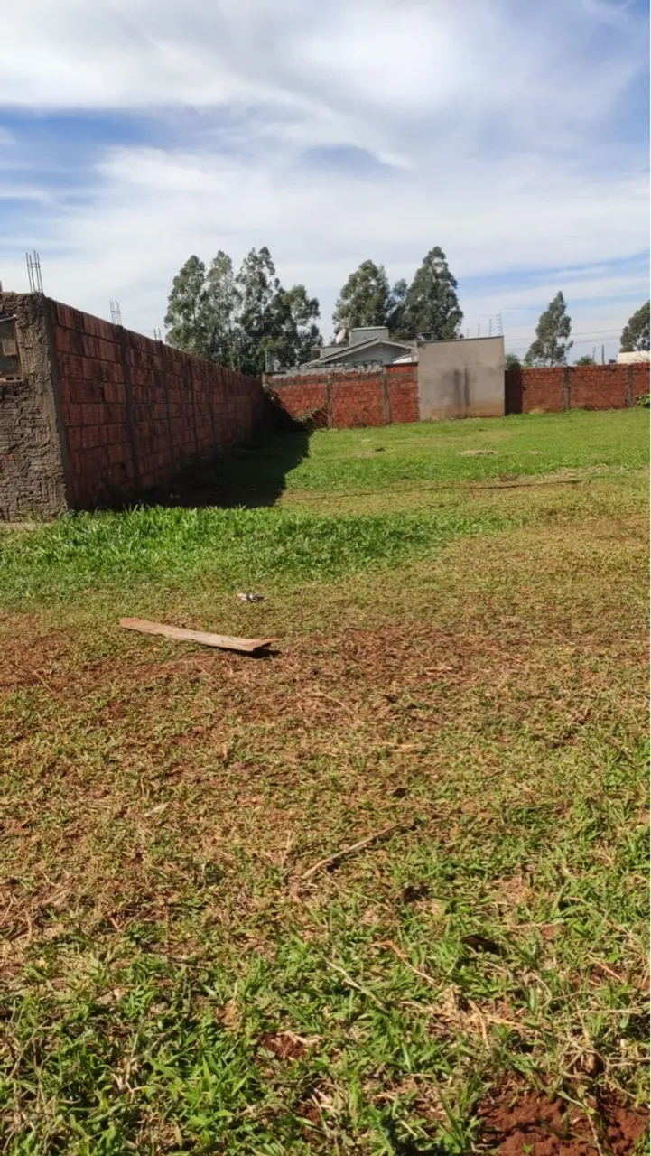 Terreno