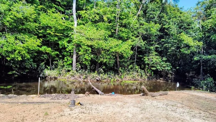 Atenção Investidores, Sitio com Igarapé, com 10 hectares, - próximo cachoeira castanh - Foto 4