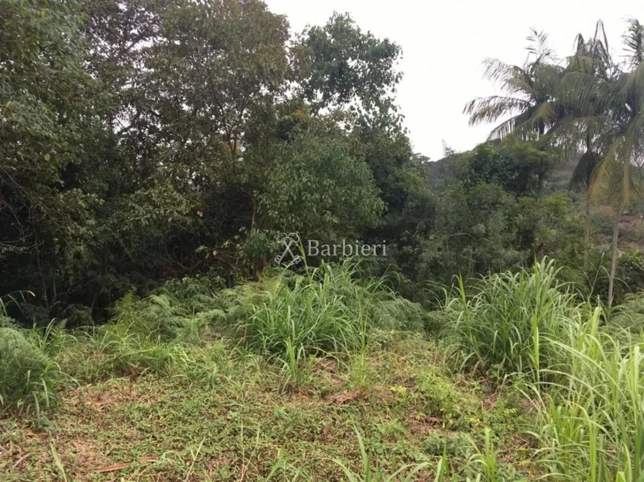 Terreno com área total de 5.813,34 m² no bairro Garcia em Blumenau/SC
