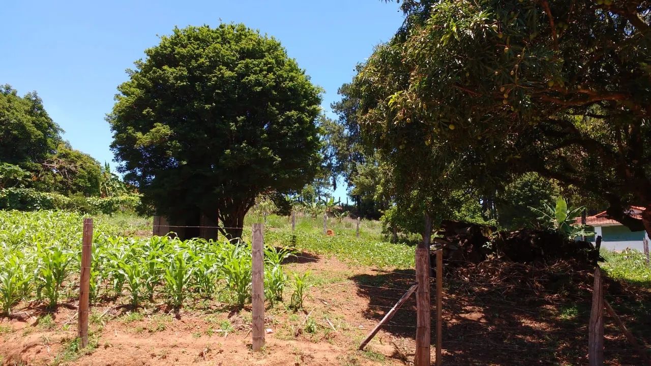 Procurando um terreno? - Foto 3