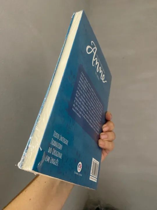 Livro Anne da ilha - Foto 3