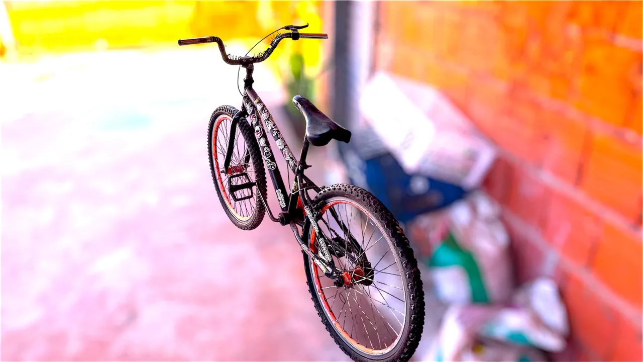 Bicicleta aro 24