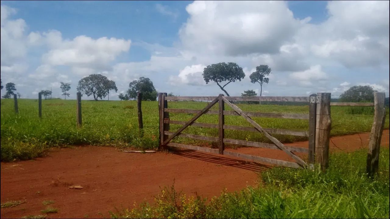 Fazenda entre Palmas to e Barrolândia to - Foto 14