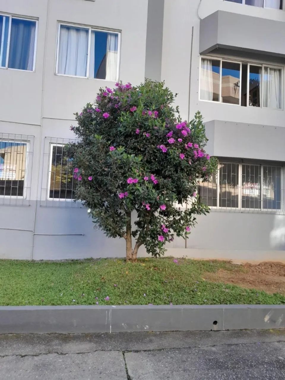 Foto - São José - Campinas