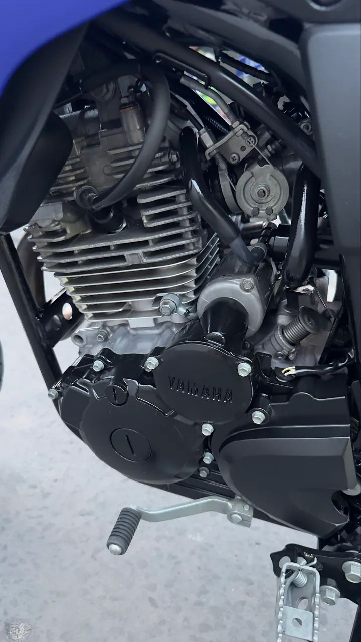 Lander 250 2023/2024  - Foto 2