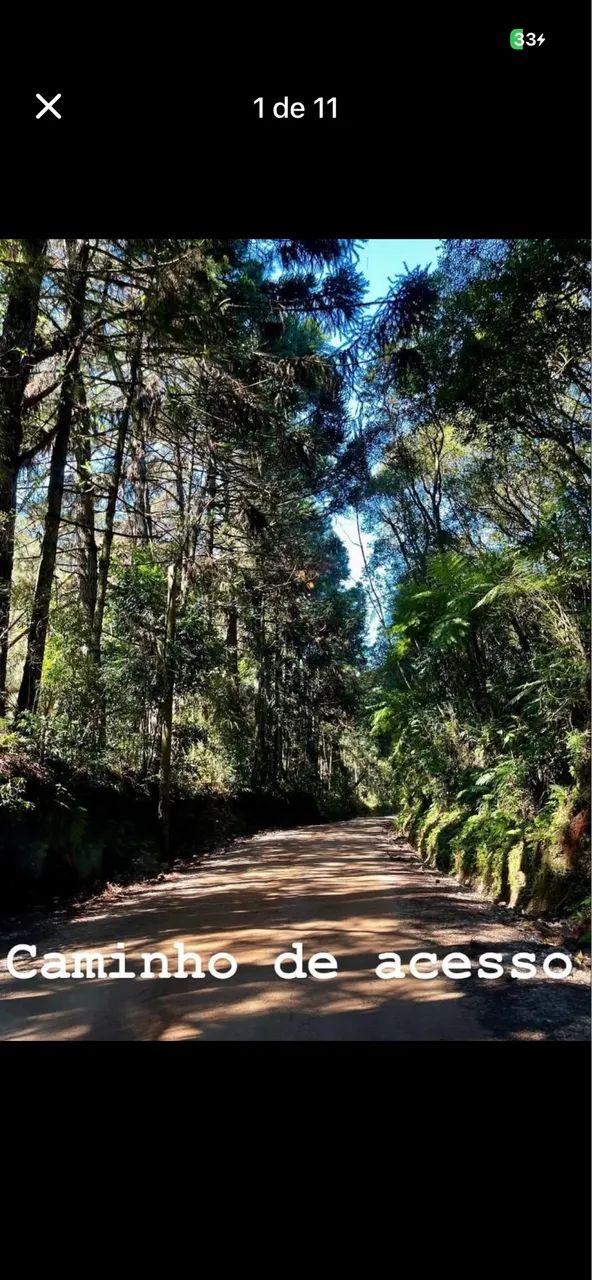 Foto - Colombo - Campestre