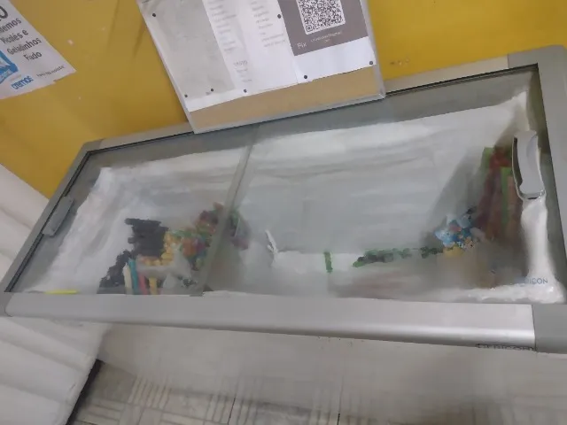 Freezer Fricon 503