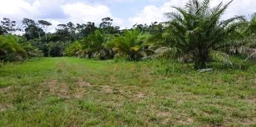 Imóvel para venda com 1700000 metros quadrados em Centro - Concórdia do Pará - PA