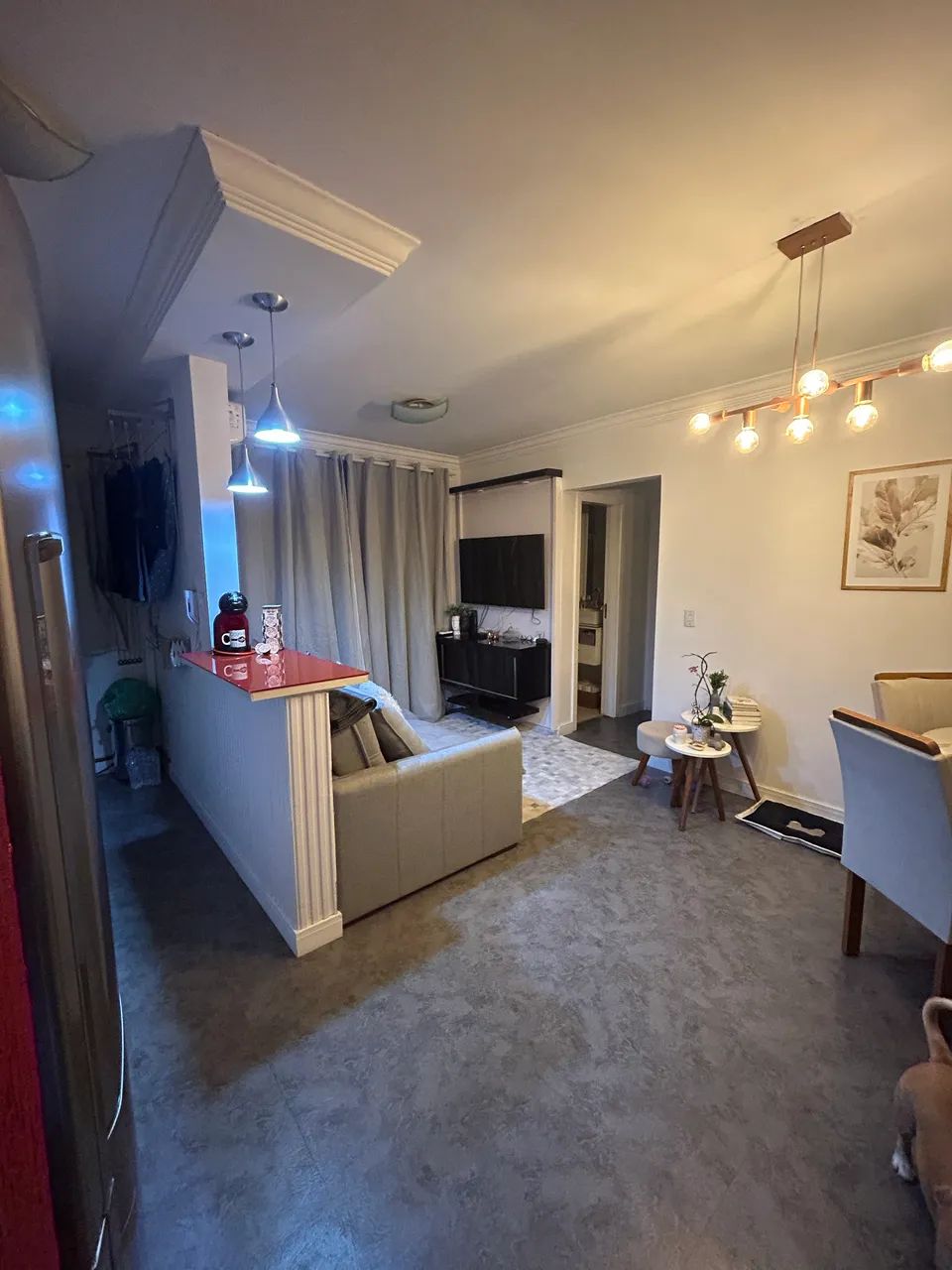 Foto - Itajaí - Cordeiros