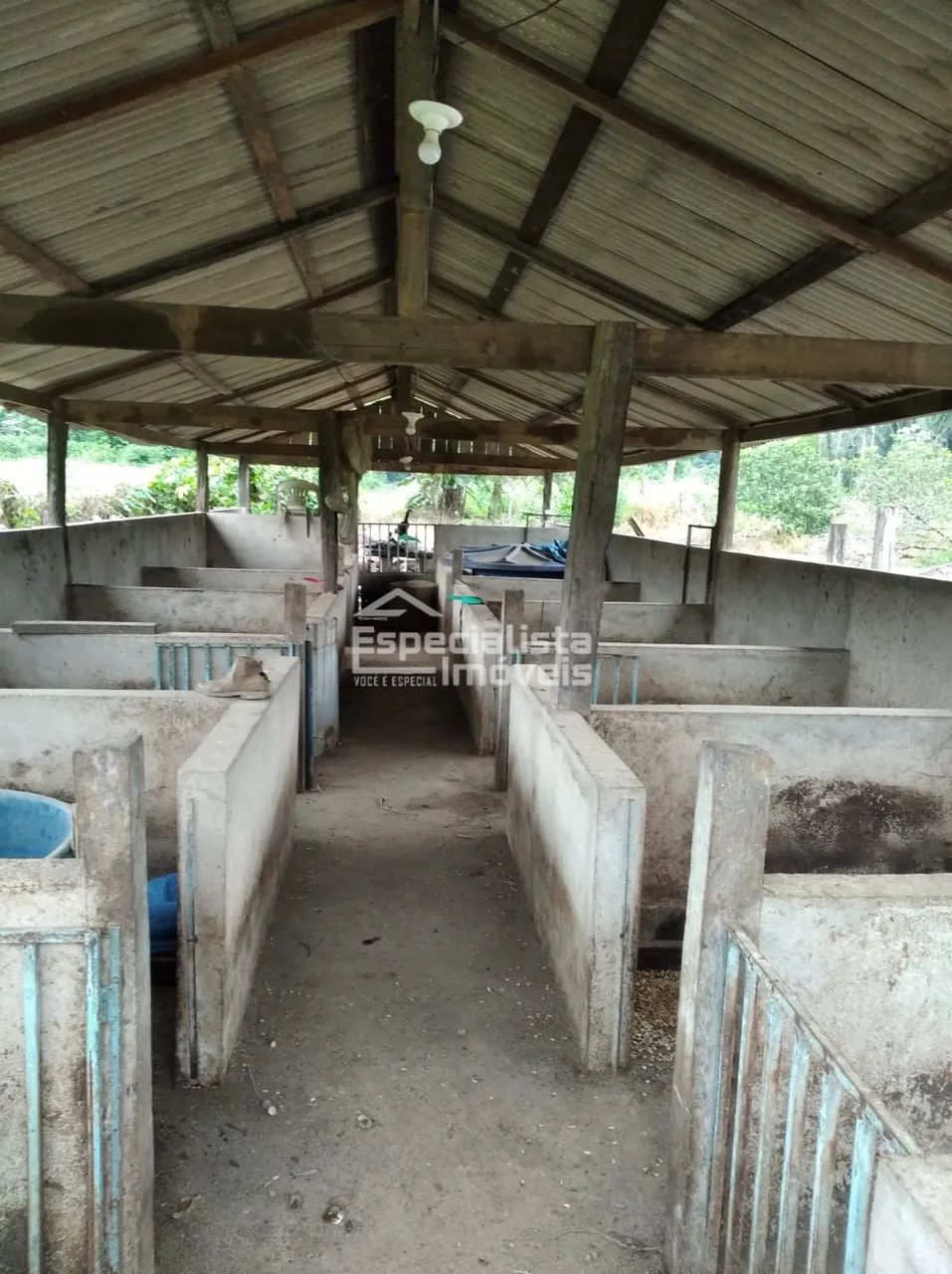 Oportunidade à VENDA CHÁCARA em CANDEIAS