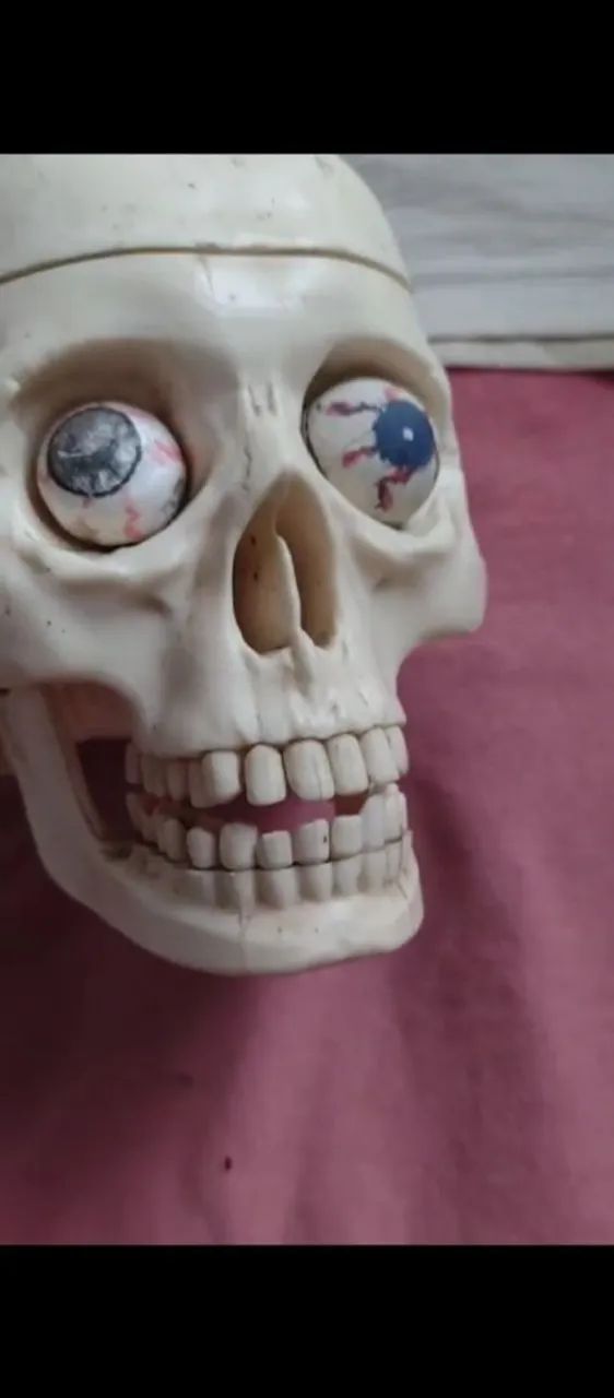 CAVEIRA DE PLÁSTICO REALISTA 