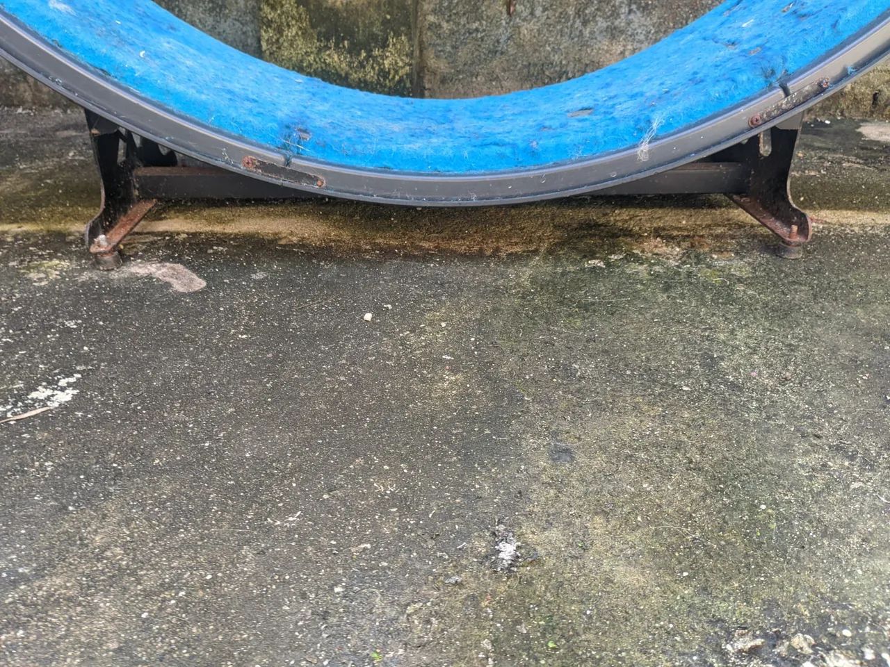 Roda para gatos - Foto 5