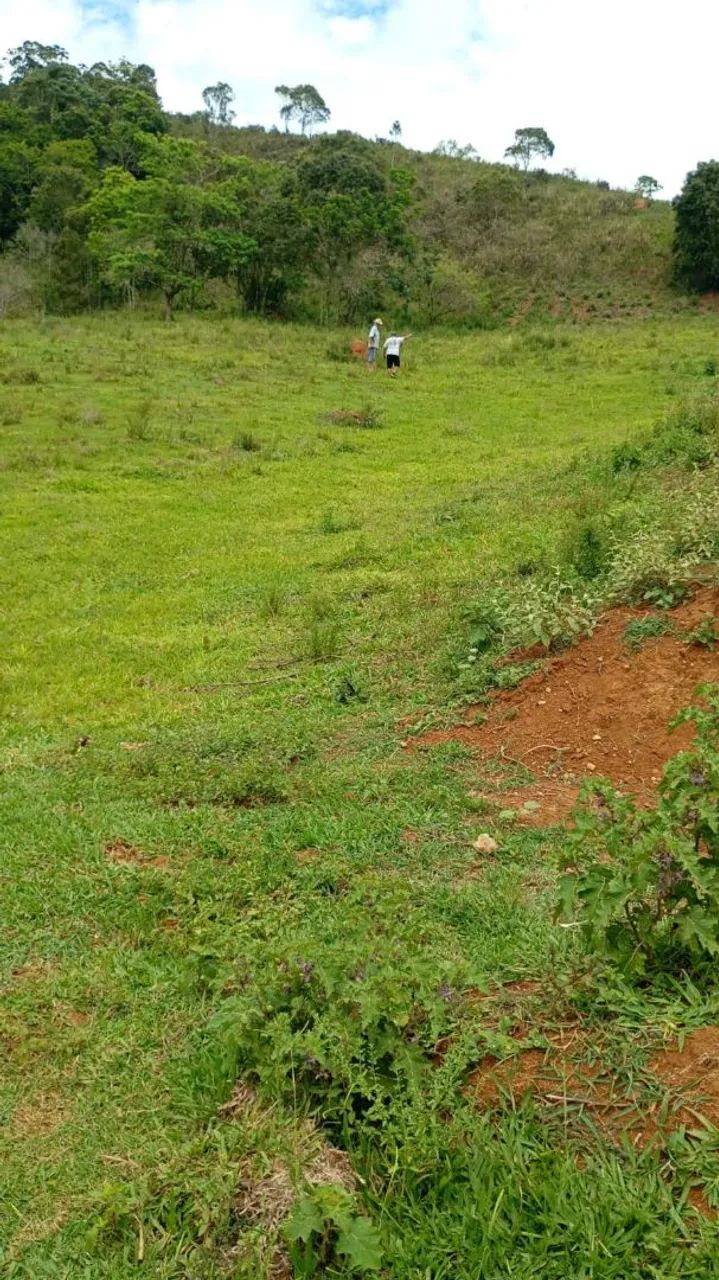Terreno em Ewbank da Câmara - Foto 2