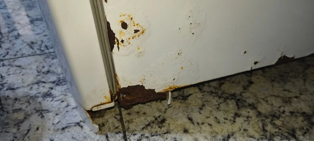 Geladeira Eletrolux dfn39  - Foto 4