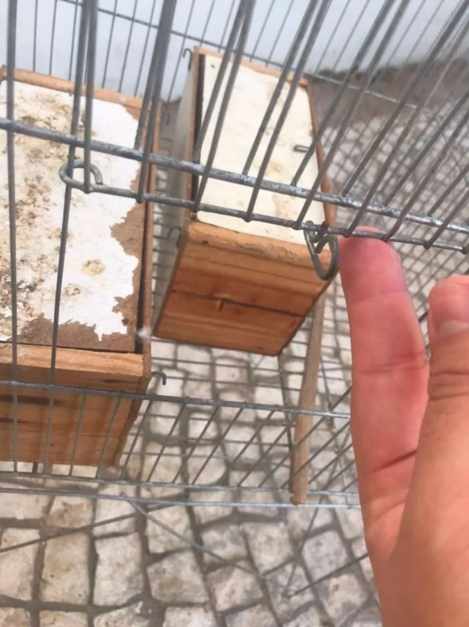 Gaiola - Foto 3