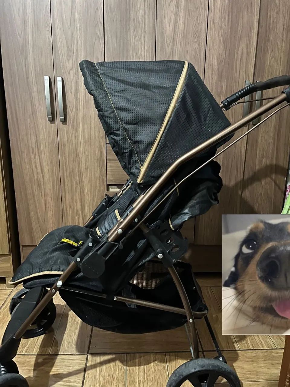 Carrinho de bebe