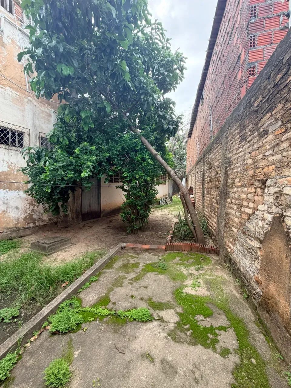Imóvel Comercial Multiuso em Lagoa Nova | 1.250 m² | Excelente Localização em Natal/RN - Foto 4