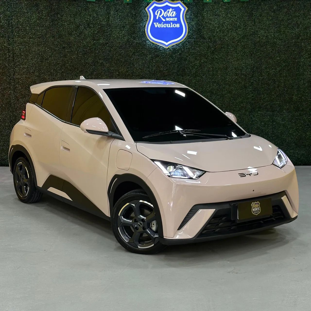 BYD Dolphin Dolphin Mini (Elétrico) 2025