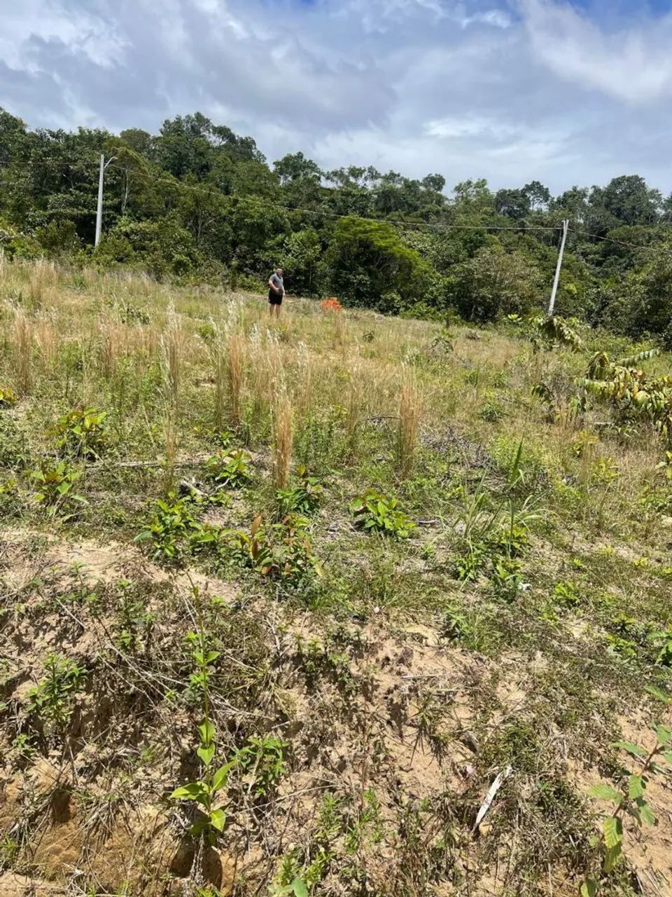 Terreno no tarumã, 8x20.  - Foto 2