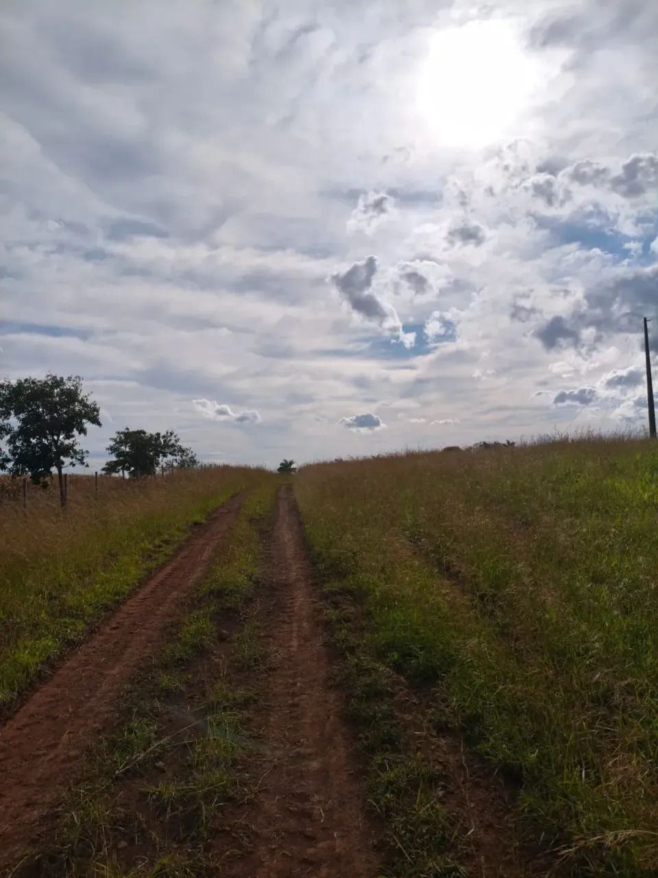 CÓD 593  Chácara à Venda | Sidrolândia /MS